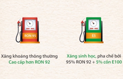 Xăng e5 và a95 nên chọn loại xăng nào cho xe của bạn?