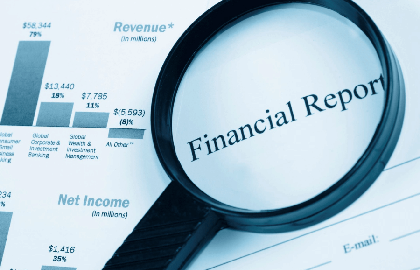 Publication of the Parent Company’s 2024 Financial Statements